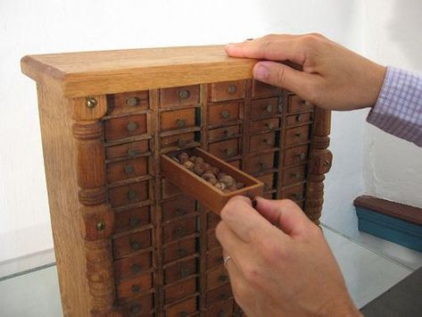 Specimen Cabinet, Timber Projects, 18th Century House, Woodwork Projects, Japanese Woodworking, Apothecary Cabinet, Watch Storage, Drawer Shelves, Studio Setup