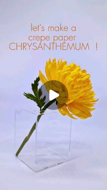 Atelier Fleurs de Crepon on Instagram: "Crepe paper chrysanthemum step by step 

#paperflower #paperart #handmadeflower #diyflower #paperflorist #fleurenpapier #artistepapier #tutorials #christmas2024" Chrysanthemum Crepe Paper Flower, Giant Crepe Paper Flowers Diy, Paper Chrysanthemum, Crepe Paper Flowers Tutorial, Crepe Paper Crafts, Crepe Paper Flowers Diy, Crepe Paper Flowers, Paper Flower Tutorial, Paper Flowers Diy