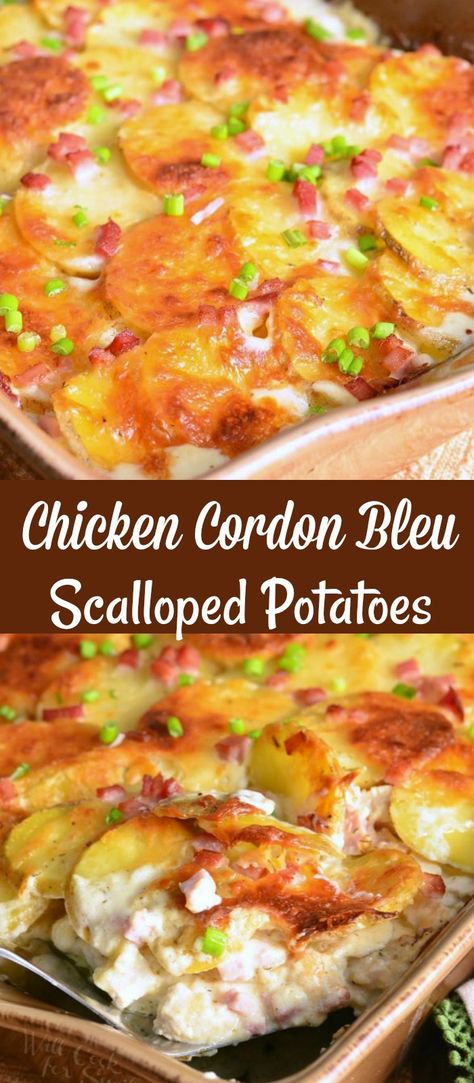 Potatoes Scalloped, Scalloped Potato Casserole, Homemade Scalloped Potatoes, Cheesy Scalloped Potatoes Recipe, Golden Potatoes, Scalloped Potatoes Recipe, Scalloped Potatoes And Ham, Chicken Cordon Bleu Casserole, Cheesy Ham