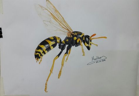 #Wasp #color #drawing #poster #art Hornet Drawing, Perspective Drawing Architecture, Drawing Poster, Color Drawing, Perspective Drawing, Wasp, Hornet, Elementary School, Architecture Drawing