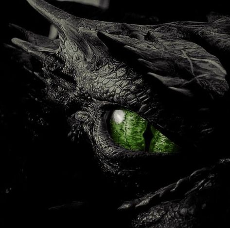 Green Eyed Monster, Fantasy Romance Books, Dragon Eye, Green Dragon, House Of Dragons, Dragons Blood, Black Dragon, Fantasy Romance, Httyd