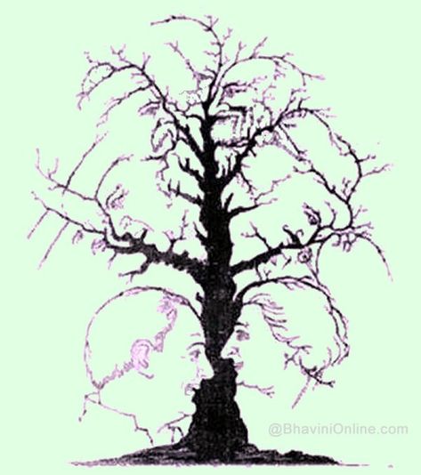 Guess How Many Faces Are There In This Tree | BhaviniOnline.com Face Illusions, Illusion Kunst, Tree Faces, Optical Illusions Art, Face Pictures, Picture Puzzles, Illusion Art, Tree Drawing, Clipart Design