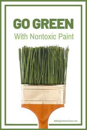 Environmentally Friendly Living, Eco Friendly Diy, Gallon Of Paint, Eco Friendly Art, Eco Friendly Paint, Eco Living, Eco Friendly Design, No Waste, Eco Friendly Living