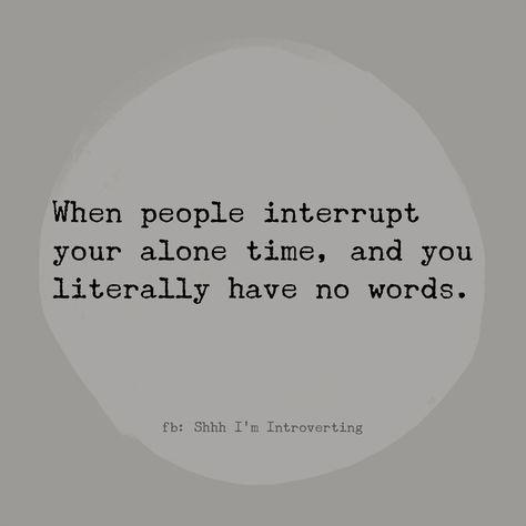 People Who Interrupt You, Interrupting Quotes, Check Quotes, Reality Check Quotes, Introvert Quotes, Extroverted Introvert, Dear Self Quotes, Dear Self, You Meme