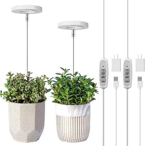 AmazonSmile : Grow Light, LORDEM Full Spectrum LED Plant Light for Indoor Plants, Height Adjustable Growing Lamp with Auto On/Off Timer 4/8/12H , 4 Dimmable Brightness, Ideal for Small Plants, Pack of 2 : Patio, Lawn & Garden Indoor Grow Lights, Small Indoor Plants, Grow Light Bulbs, Grow Lamps, Mini Bonsai, Plant Light, Greenhouse Plants, Grow Lights For Plants, Growing Plants Indoors