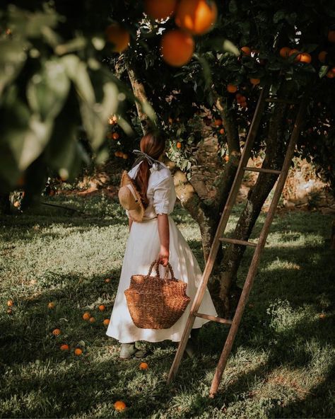 Cottagecore Photoshoot, Orange Farm, Apple Garden, Nature Outfits, Citrus Garden, Green Dome, Orange Grove, Farm Lifestyle, Fruit Picking