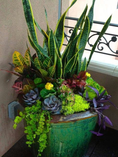 Summer Planter, نباتات منزلية, Container Garden Design, Container Gardening Flowers, Garden Containers, Container Garden, Container Flowers, Garden Flowers, Succulents Garden