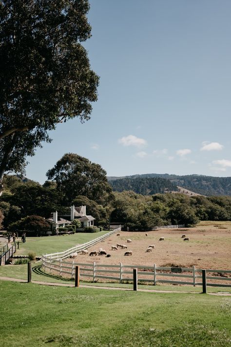 Mission Ranch Carmel Wedding // BRANDON SCOTT PHOTO CO. Brandon Scott, Carmel Weddings, Carmel By The Sea, Ranch Wedding, Girls Trip, Getting Married, Austin, Our Wedding, Photographer