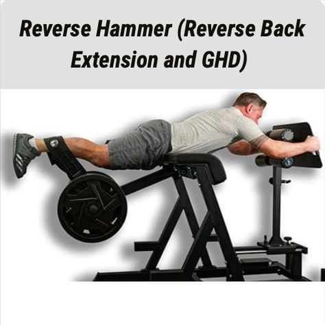 The fusion of the Reverse Back Extension machine and Glute Ham Developer (GHD) is a Bells of Steel original design. Get an overview and some exercises to throw into your workout! Ghd Crossfit, Back Extension Machine, Hyper Extension, Emom Workout, Back Extension, Back Extensions, Diy Home Gym, Fitness Equipment, Home Gym