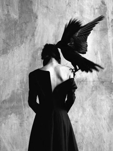 Quoth The Raven, Queen Aesthetic, Witch Aesthetic, Fantasy Aesthetic, Edgar Allan Poe, Dark Photography, Jolie Photo, Dark Beauty, Ravens