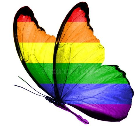 Flag of LGBT on the wings of a butterfly. isolated on white background. Flag of LGBT on the wings of a butterfly. isolated on white royalty free stock images Lbgtq Colors Flag, Happy Birthday Tia, Pride Butterfly, Dragon Tattoo Drawing, Pride Colors, The Wings, White Image, Rainbow Pride, Dragon Tattoo