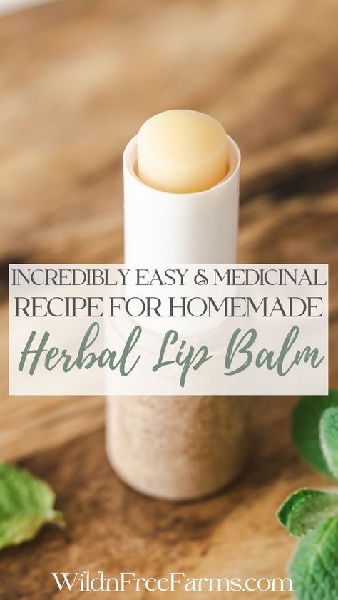 homemade herbal lip balm Soap Making For Beginners, Herbal Lip Balm, Diy Body Lotion, Homemade Lip Balm Recipe, Lip Balm Recipe, Diy Lip Balm Recipes, How To Make Soap, Balm Recipe, Herbal Medicine Recipes