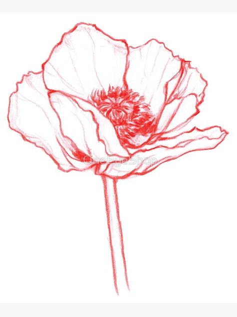 Poppy Drawings, Poppy Flower Sketch, Poppy Line Drawing, Badger Skull, Poppy Poster, Red Poppy Tattoo, Poppy Flower Drawing, Poppy Flower Painting, Abstract Poppies