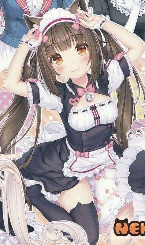 Nekopara Poster, Maid Pose, Nekopara Chocola, Walpapers Cute, Japan Cute, Anime Wall Prints !!, Moe Anime, Anime Maid, Chibi Girl