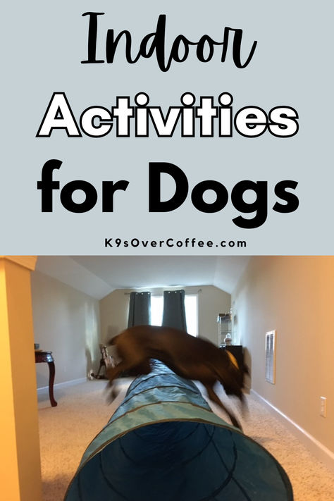 Black dog jumping over a dog agility tunnel inside on carpeted flooring. Games To Play With Dogs Inside, Games To Play With Dogs, Enrichment For Dogs, Activities For Dogs, Crappy Day, Raw Dog Food, Dog Exercise, Raw Dog Food Recipes, Motivational Posts