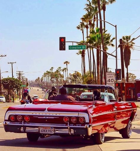 #LOWRIDERTV #lowrider #lowriders #impala #gangsta #lowridersmovie #lowridercars #chrome #carshow #lowriding #classiccars #lowridertruck… West Coast Cars, Mack 10, Mc Eiht, Music Land, Nate Dogg, Hip Hop And R&b, Lowrider Cars, Chevy Impala, Low Rider