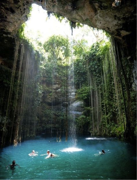 cenotes - take me here Caribbean Vacations, Destination Voyage, Phuket Thailand, Honeymoon Destinations, Chichen Itza, Bora Bora, Chiang Mai, Pretty Places, Dream Destinations