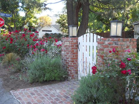 Climbing red roses and lavender with white wood fence and gate and true red brick pillars and walkway. Encino CA White Wood Fence, Fence Arbor, Driveways Ideas, Privacy Lattice, Picket Fence Gate, Brick Pillars, Picket Gate, Fence Privacy, Wood Fence Design