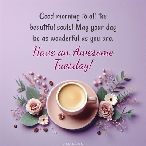 Happy Tuesday Morning Inspiration, Happy Tuesday Good Morning, Tuesday Morning Wishes, Good Morning Tuesday Wishes, Tuesday Wishes, Good Morning Happy Tuesday, Happy Tuesday Morning, Tuesday Greetings, Tuesday Blessings