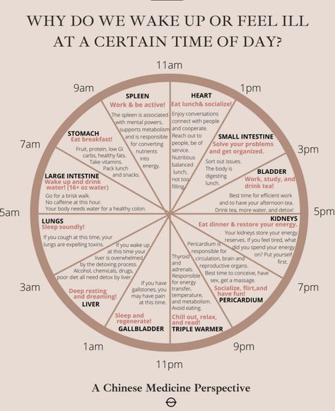 Ayurveda Life, Body Clock, Ayurvedic Healing, Western Medicine, Hormone Health, Holistic Medicine, Time Of Day, Mental And Emotional Health, The Wisdom