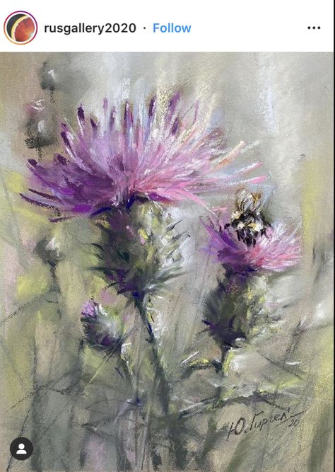 Thistle Painting, Thistles Art, Soft Pastel Art, Art Projects For Adults, Projects For Adults, Art Painting Gallery, Watercolor Flower Art, 수채화 그림, Watercolor Flowers Paintings