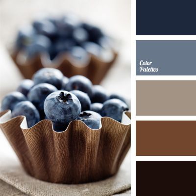 bedroom - COLOR PALETTE ~ BLUEBERRIES AND CHOCOLATE Grill Storage, Eames Design, Wolf Eyes, Color Palate, Design Seeds, Brown And Blue, Colour Board, Bedroom Colors, Colour Schemes