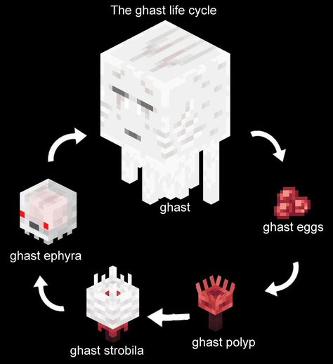 Ghast Minecraft, Minecraft Mobs Mod, Mobs Minecraft, Mc Mods, Minecraft Images, Minecraft Drawings, Minecraft Mod, Minecraft Anime, Minecraft Mobs