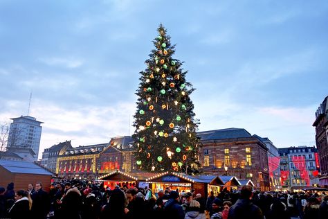 Strasbourg Christmas Tree Edinburgh Christmas Market, Strasbourg Christmas, German Market, Strasbourg Cathedral, British Christmas, German Christmas Markets, Creative Wedding Gifts, Best Christmas Markets, Christmas Markets Europe