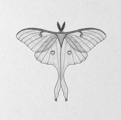 Luna Moth Tattoo Fine Line, Winged Insect Tattoo, Simple Luna Moth Drawing, Luna Moth Tattoo Design Simple, Moth Sketch Simple, Lunar Moth Tattoo Design Simple, Delicate Moth Tattoo, Luna Moth Tattoo Simple, Luna Moth Sketch