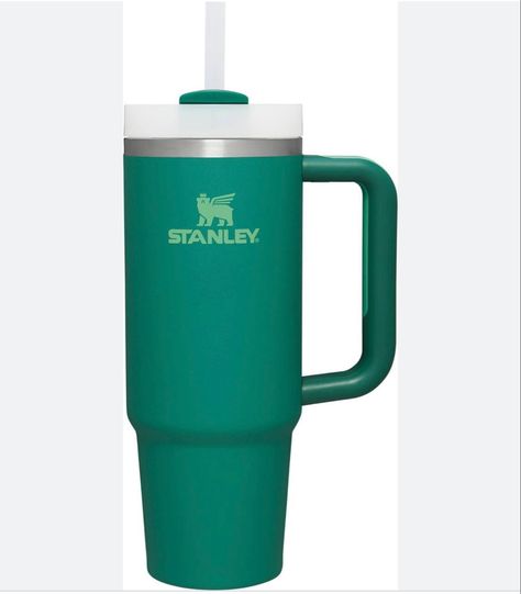 Green Stanley Cup Amazon outdoor water water bottle Green Stanley Cup, Stanley Cup 30 Oz, Green Stanley, Hydration Challenge, Rhinestone Cups, Stanley Cups, Drink Containers, Stanley Quencher, 9 Hours