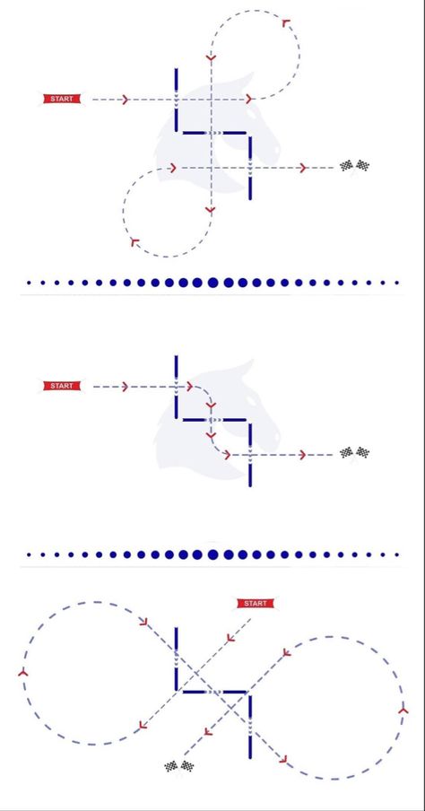 Horse Polework Exercises, Pole Patterns For Horses, Riding Exercises For Horses, Horse Riding Pole Exercises, Polework Exercises For Horses, Trotting Pole Exercises, Horse Stretching Exercises, Beginner Horse Riding Lesson Plan, Horse Exercises Flatwork