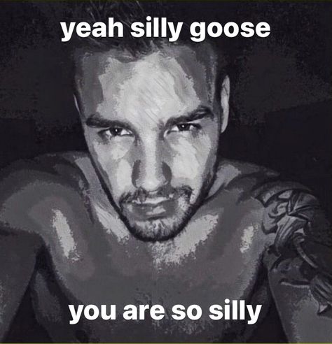 Reaction Pic, One Direction Humor, One Direction Memes, Lin Manuel, Funny Reaction Pictures, Really Funny Pictures, Lose My Mind, Liam Payne, Funny Laugh