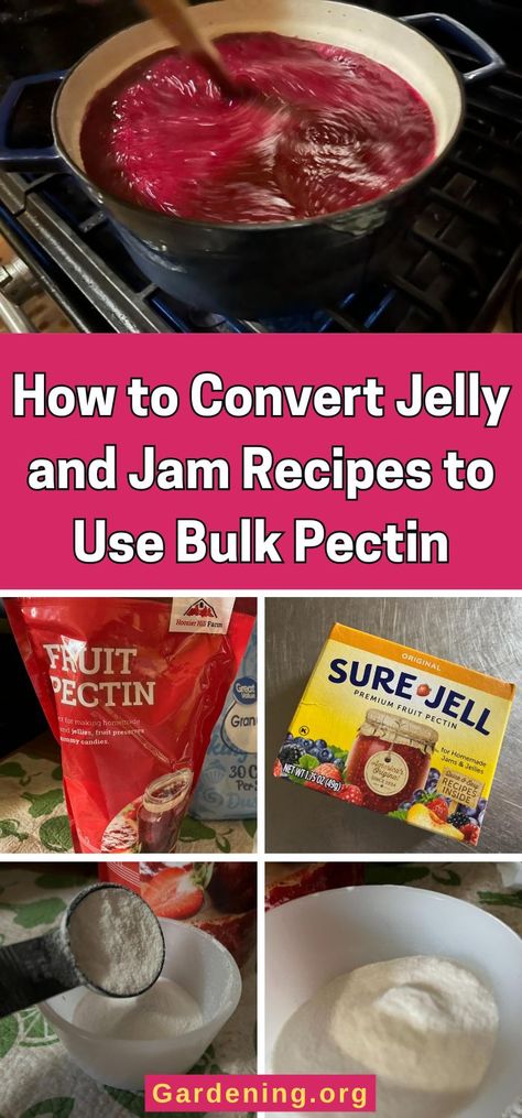 How to Convert Jelly and Jam Recipes to Use Bulk Pectin Seedless Raspberry Jam Recipe, Lemon Jelly Recipe, Ball Blue Book, Raspberry Jam Recipe, Raspberry Tarts, Fruit Preserves, Jam And Jelly, Jelly Recipes, Pumpkin Pie Filling