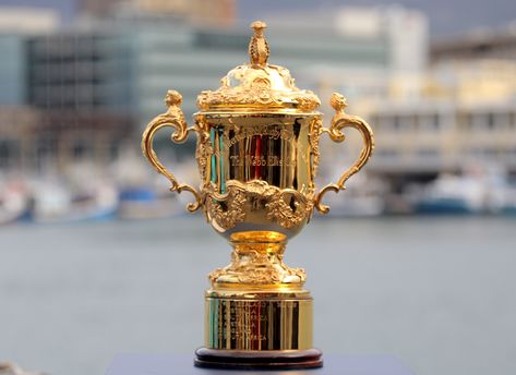 Rugby World Cup Trophy Tour - South Africa - Pundit Arena Rugby World Cup Trophy, Rugby Trophy, Go Bokke, World Cup Trophy, Safe Room, Trivia Night, Stately Homes, Rugby World Cup, Cricket World Cup