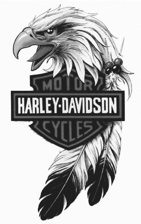 Harley Davidson Tattoo, Harley Davidson Decals, Motorcycle Art Painting, Harley Davidson Painting, Harley Tattoos, Dagobert Duck, Harley Davidson Tattoos, Harley Davidson Signs, Harley Davidson Artwork