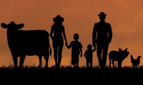 Joel Salatin’s Polyface Farm is featured in a new documentary, Polyfaces. Joel Salatin, Family Silhouette, Regenerative Farming, Cattle Panels, Farm Family, Miniature Printables, Horse Coloring, Family Farm, Farm Life