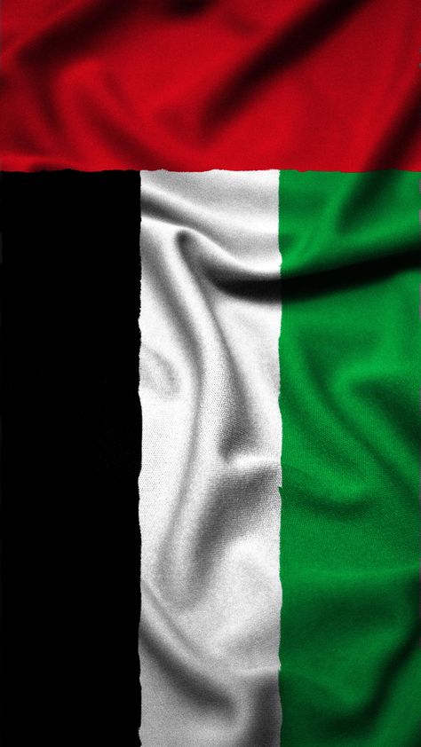 Uae Flag Aesthetic, Emirates Flag, Uae Flag, Aesthetic Collage, Arab Emirates, United Arab Emirates, Jam, Dubai, Flag