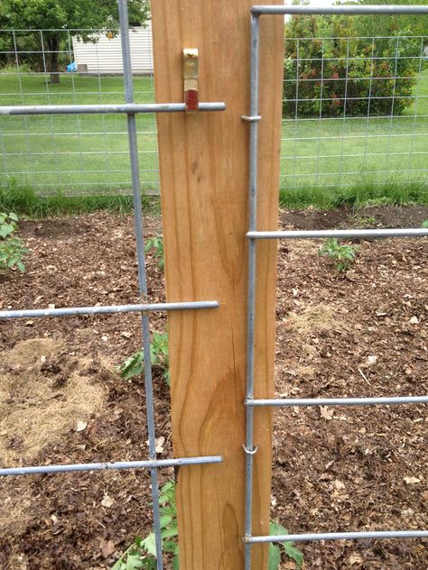 Cattle Panel Fence, Cheap Garden Fencing, Small Garden Fence, Farm And Garden, Garden Fence Ideas, Cattle Panels, Diy Garden Fence, Garden Decoration Ideas, Diy Fence