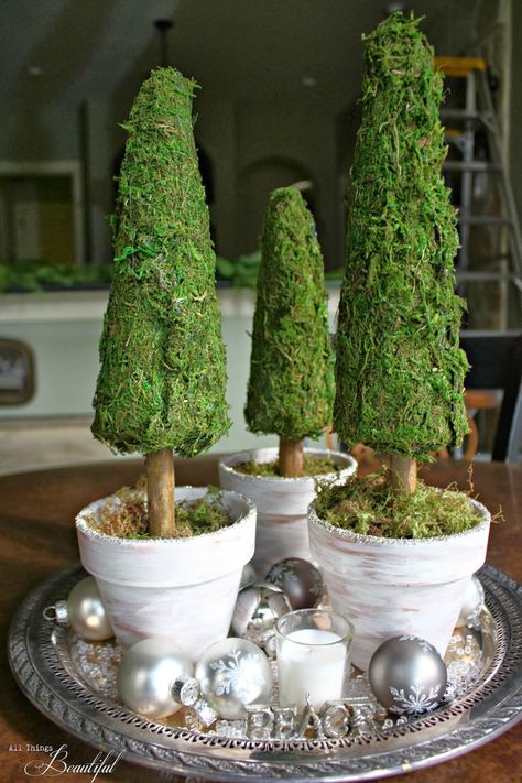 All Things Beautiful: Three {Moss Trees} Vignette Diy Projects Decor, Navidad Natural, Cone Trees, All Things Beautiful, Dollar Tree Diy Crafts, Xmas Wreaths, Handmade Decor, Dollar Tree Diy, Christmas Deco