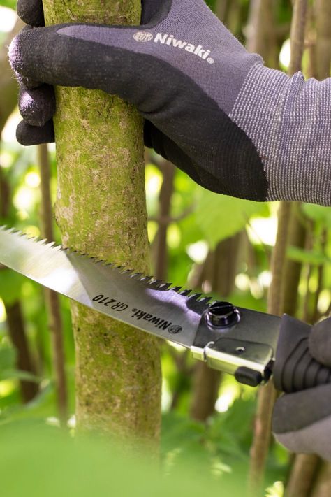 As with all Japanese saws, our Niwaki GR 210 Pruning Saw has a narrow blade for efficient sawing, and cuts on the pull stroke - go easy, and don't twist or snag the blade. It fits neatly in the back of our double holster with a pair of Niwaki Mainichi Secateurs in the front. Prune Fruit, Pruning Saws, Pruning Fruit Trees, Pruning Saw, Pruning Tools, Garden Shears, Saws, Fruit Trees, In The Garden