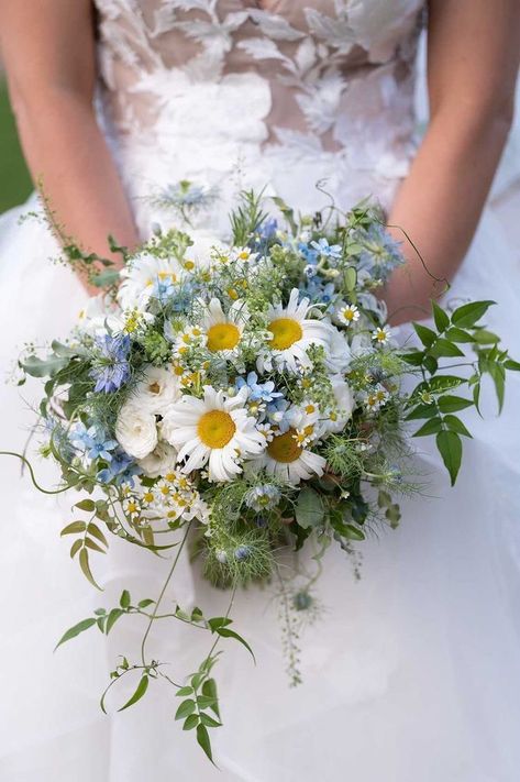 Blue And Green Wildflower Bouquet, Daisy And Blue Flower Bouquet, Wildflower Style Bouquet, Daisy Wedding Bouquet Blue, English Wildflower Bouquet, Dasie Flowers Bouquet, Natural Wildflower Bouquet, Daisy Flower Bouquet Wedding, Daisy And Blue Bouquet