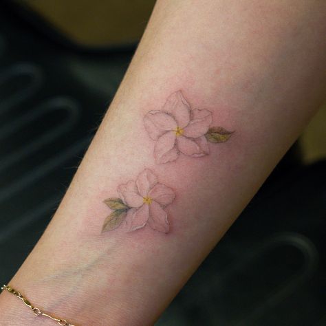 Sampaguita, the national flower of the Philippines 💗 Sampaguita Flower Tattoo Philippines, Filipino Flower Tattoo, Filipino Flower, Sampaguita Tattoo, Sampaguita Flower Tattoo, Sampaguita Flower, Philippines Tattoo, Toronto Tattoo, Filipino Tattoos