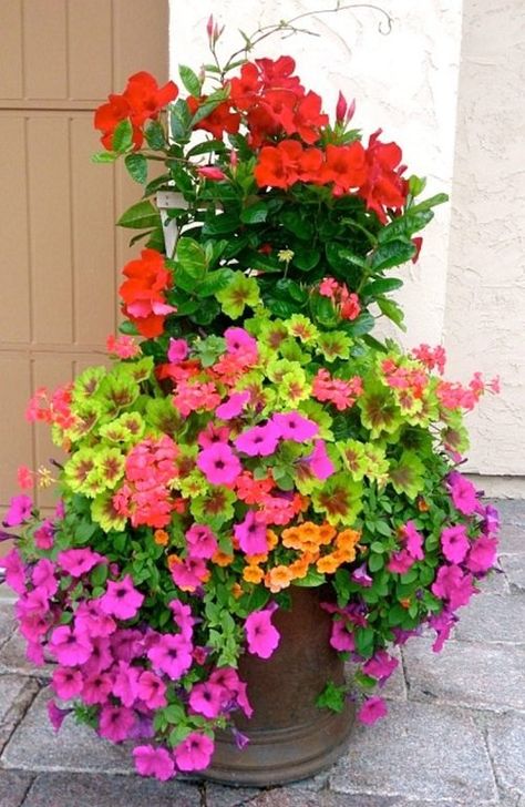 48 Plant Combination Ideas for Container Gardens | Potted Plant Arrangements Diy Container Garden, Pink Flowers Aesthetic, Flower Garden For Beginners, Summer Planter, Diy Container, Diy Container Gardening, Container Herb Garden, Tattoo Plant, Patio Flowers