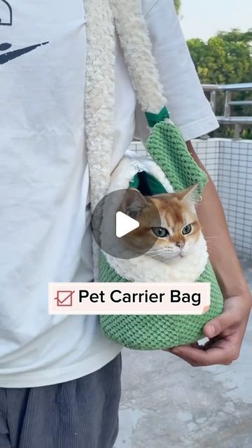 Diy Cat Carrier How To Make, Cat Bag Carrier, Cat Carrier Bag, Dog Carrier Bag, Pet Carrier Bag, Cat Travel, Instagram Travel, Cat Bag, Cat Carrier