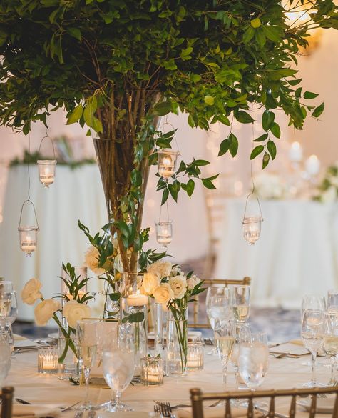 🌿✨ Embracing simple elegance with gentle white florals surrounding a stunning tree centerpiece adorned with hanging candle baskets. This setup creates a magical, intimate celebration for all!  #SimpleElegance #WhiteFlorals #TreeCenterpiece #HangingCandles #EventDesign #WeddingInspo #ElegantDecor  @Enza.Events @yourstrulymedia @etamusic @cindyvbeauty @trumpgolfwestchester @elyseebridaldesign @bubmtk @badgleymischka @christinawubridal @astepaheadfashions @suitsupply @michaelkors Tree Centrepiece Wedding Fairy Lights, Tree Centerpieces Wedding, Tree Centrepiece Wedding, Elevated Centerpiece, Marquee Wedding Decoration, Greenery Centerpieces, Portland Wedding Venues, Tree Centerpiece, Greenery Centerpiece