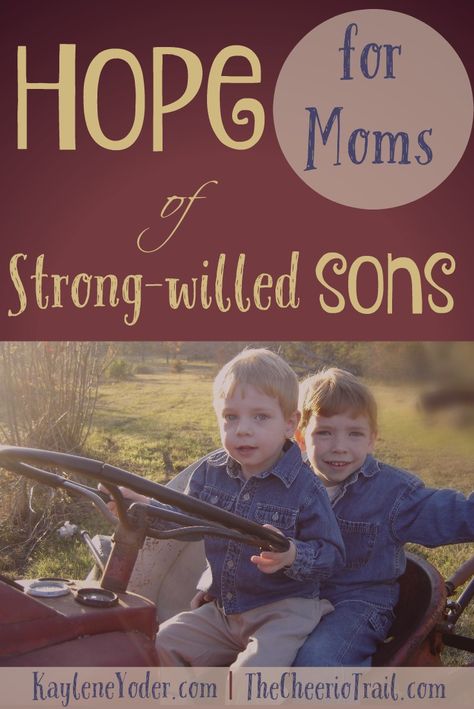 This is a great article even though my son isn't particularly strong-willed Strong Willed Son, Parenting Strong Willed Child, Strong Willed Child, Parenting Boys, Confidence Kids, Strong Mom, Smart Parenting, Parenting Articles, The Best Advice