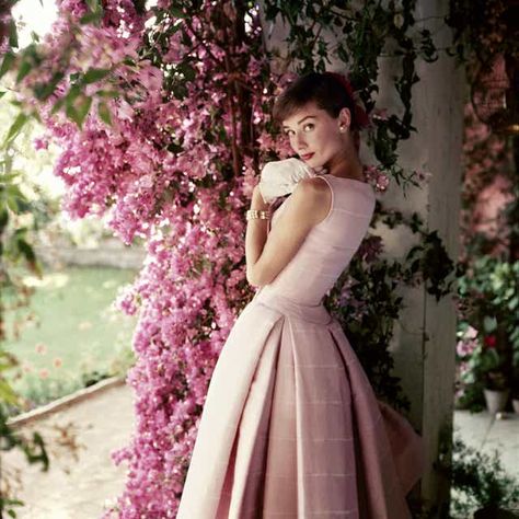 Audrey Hepburn style file: Best dresses and outfits from the 1950s fashion icon | London Evening Standard | Evening Standard Audrey Hepburn Photos, Karen Elson, Audrey Hepburn Style, Hepburn Style, Glamour Magazine, Lauren Bacall, Fair Lady, 1950s Fashion, Grace Kelly