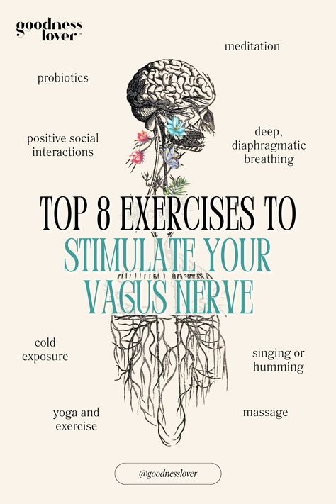 Vagus Nerve Healing, Polyvagal Theory, Nervus Vagus, The Vagus Nerve, Gastrointestinal Tract, Gut Brain, Digestive Tract, Nerve Pain Relief, Stomach Problems