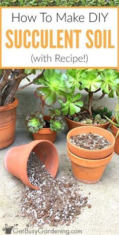 Succulent Potting Soil, How To Make Succulent Soil, How To Arrange Succulents In A Pot, Diy Succulent Soil, Succulent Soil Mix Diy, Sell Succulents, Potting Mix Recipe, Multiplier Des Plantes Grasses, Soil For Succulents