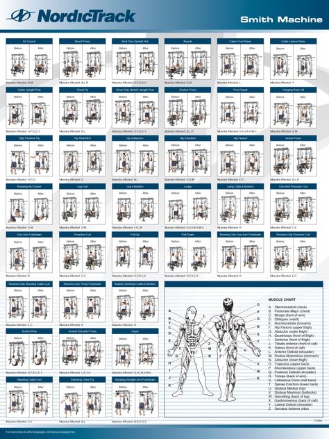 Smith Machine Exercises                                                       … Adductor Workout, Smith Machine Workout, Machine Exercises, Cable Machine Workout, Gym Workouts Machines, Best Treadmill For Home, Cable Workout, Bum Workout, Trx Workouts